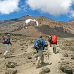 Although it can be sunny, the glaciers on Kili & surrounding peaks make for a chilly environment.