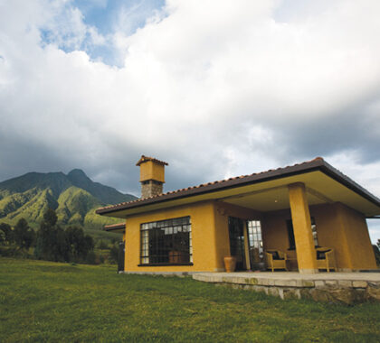 This comfortable lodge is ideally located for gorilla trekking.