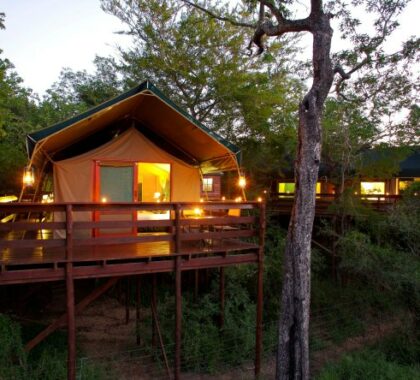 In the Kruger, you will stay at Kapama Buffalo Camp, located on a large private concession.