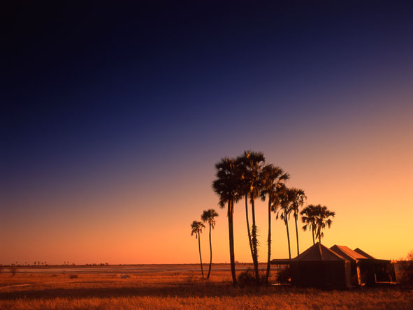 Enjoy dramatic, remote settings on your African honeymoon - Botswana's Jack's Camp is a classic.