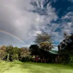 Jardín de Acacia Mara Bush House.