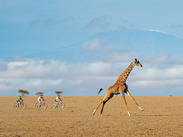 Activities at Kenya's ol Donyo Lodge include mountain biking, horseback safaris & fly-camping adventures.