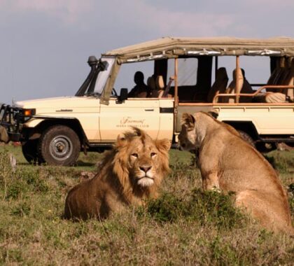 From the Kruger to the Serengeti, our affordable safaris take in Africa's prime game viewing destinations.