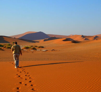Walking the red dunes of Sossusvlei is part of the Namib Desert experience.