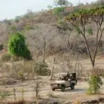 Para disfrutar de un safari salvaje y remoto, no hay nada mejor que Kiba Point, en la sensacional Reserva Selous.