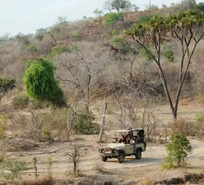 Para disfrutar de un safari salvaje y remoto, no hay nada mejor que Kiba Point, en la sensacional Reserva Selous.