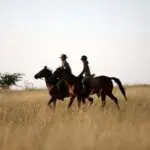 Los destinos de safari de África meridional y oriental ofrecen avistamiento de animales a caballo.