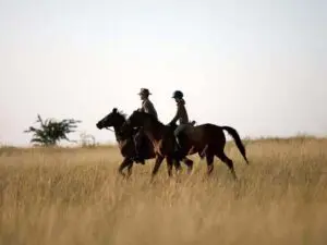 Los destinos de safari de África meridional y oriental ofrecen avistamiento de animales a caballo.
