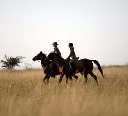 Safari destinations in both Southern & East Africa offer horseback game viewing.