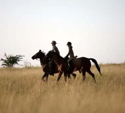 Safari destinations in both Southern & East Africa offer horseback game viewing