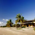 Playas desiertas, palmeras y un cielo azul: bienvenido a la deslumbrante costa africana.