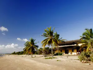 Playas desiertas, palmeras y un cielo azul: bienvenido a la deslumbrante costa africana.