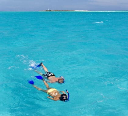 Sunny snorkelling in warm, safe water is part of the Quirimbas experience - ideal for families.