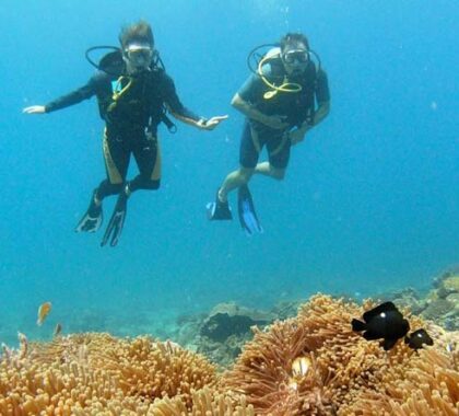Several of our best dive spots are also our most romantic, making for wonderful honeymoons & getaways.