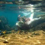 El cristalino lago Malawi, ideal para una escapada después del safari, alberga excelentes lugares para practicar submarinismo y snorkel.