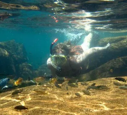 El cristalino lago Malawi, ideal para una escapada después del safari, alberga excelentes lugares para practicar submarinismo y snorkel.
