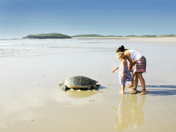 From Kenya to Cape Town, Africa's family-friendly beaches are full of surprises