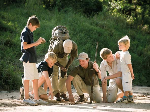 Our selected lodges specialise in family safaris - guided walks are a huge hit with kids.