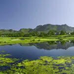 The Outeniqua Mountains form the backdrop to Fancourt's three courses, set on the Garden Route.