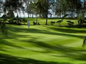 Pristine greens & stunning views are what to expect on a Mauritius golf course - this is Le Touessrok.