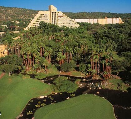 Sun City, el favorito de las familias, cuenta con dos campos de primera categoría; alójese en The Cascades para acceder más fácilmente.