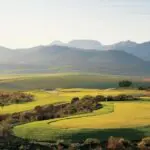 Several of South Africa's best golf courses lie in the Cape's wine country - ask us for our recommendations.