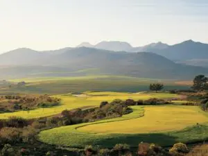 Several of South Africa's best golf courses lie in the Cape's wine country - ask us for our recommendations.