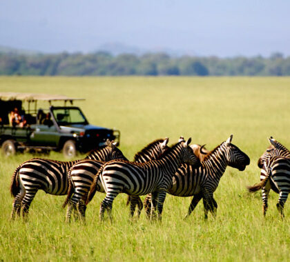 Luxury safaris in private reserves means crowd-free game viewing & extra safari activities.