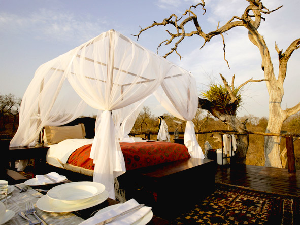 The Lion Sands Treehouse delivers one of the Kruger's most extraordinary safari experiences.
