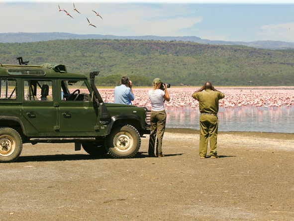 Carpets of pink flamingos on Kenya's Rift Valley lakes make for rewarding imagery.