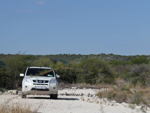 A self-drive safari means you can explore Africa's game reserves yourself - Etosha & Kruger are ideal.