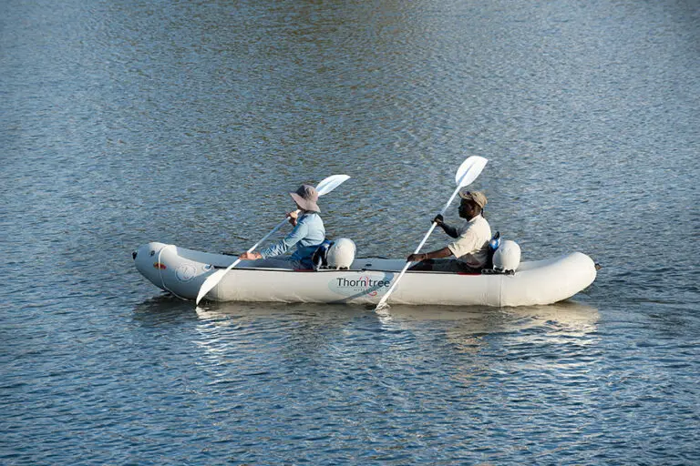Explore el río Zambeze en canoa.