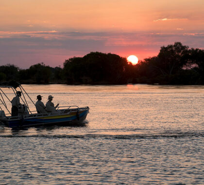 Explore the Zambezi River by boat.