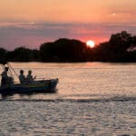 Sunset cruise on the Zambezi River.