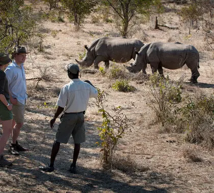 African-Bush-Camps-Thorntree-walking safari