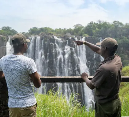 Las imponentes cataratas Victoria.