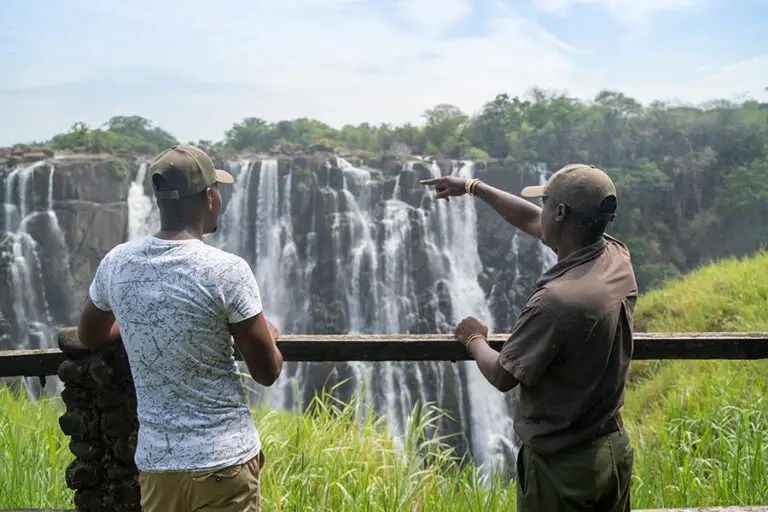 Las imponentes cataratas Victoria.