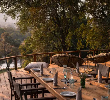Dine under the stars.