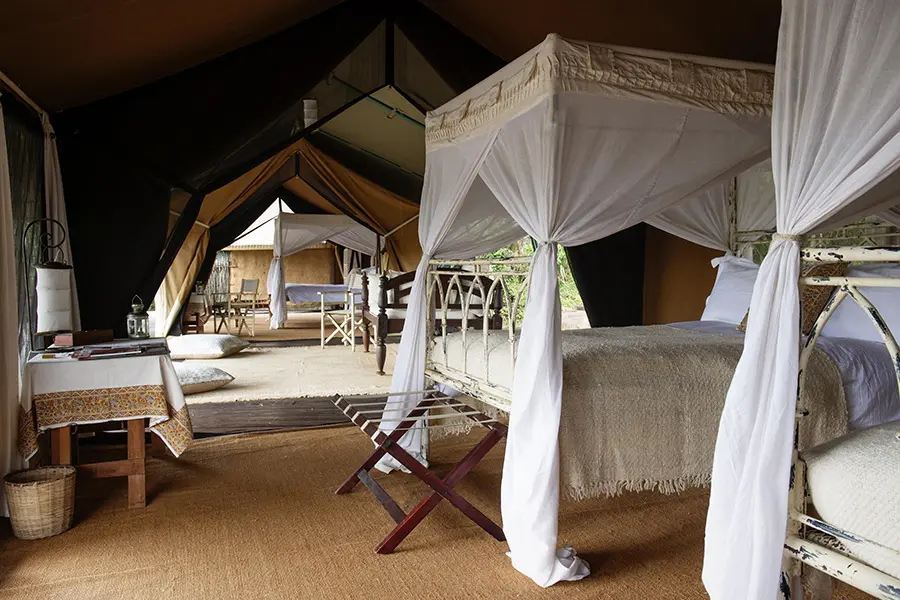 alex-walker-serian-the-original-family-tent-interior