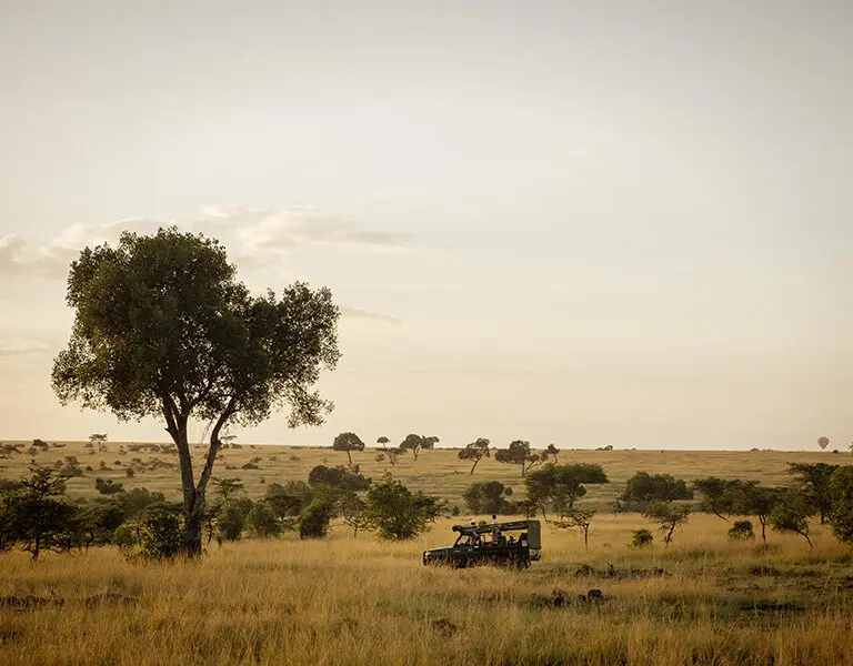 Game drives in the Masai Mara.