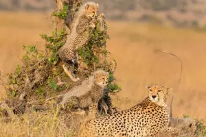 Excepcionales avistamientos de fauna salvaje.