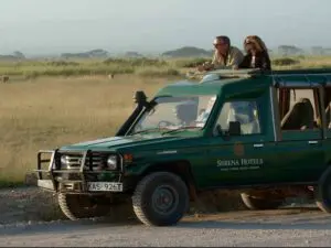 Go on a game drive with an experienced ranger.