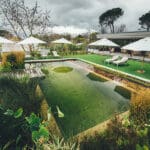 La piscina ecológica es una alternativa natural al consabido azul chispeante.