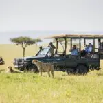 Game drive.