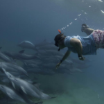 Snorkelling & scuba diving on offer.