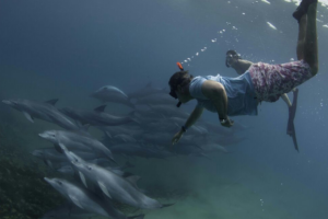 Snorkelling & scuba diving on offer.