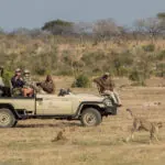 Fantásticos avistamientos de caza mayor.