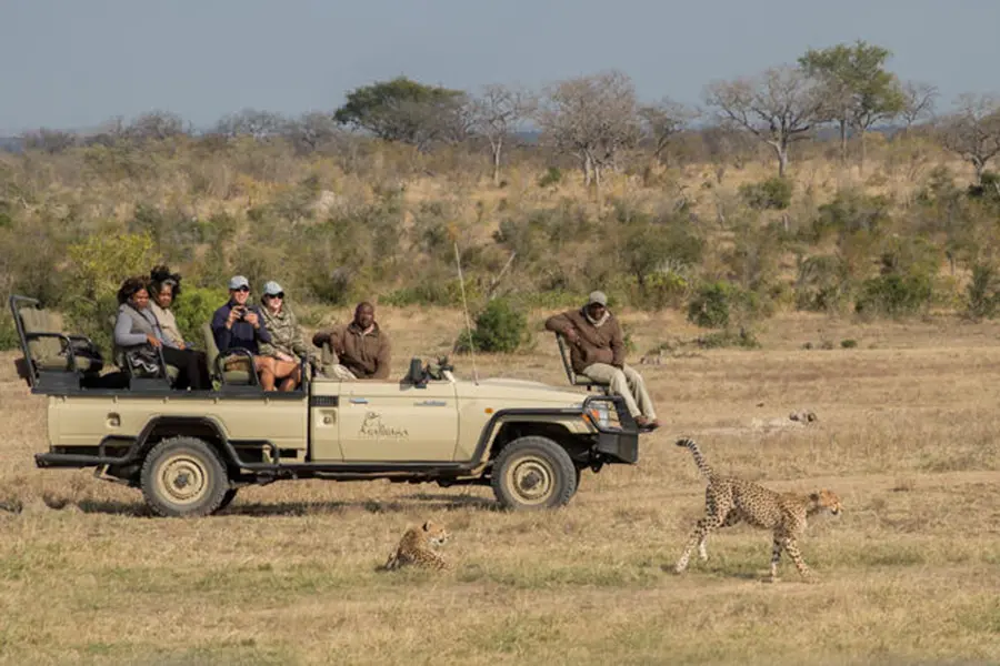 Fantastic big game sightings.