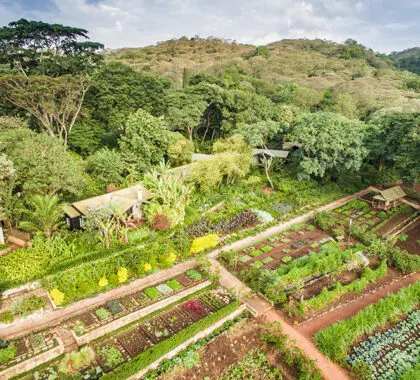 Vista aérea de Gibb's Farm.