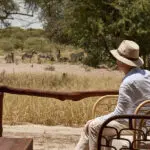 Watch as animals pass by the lodge.